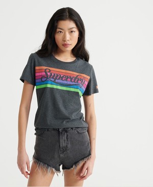 Superdry Premium Logo Rainbow Női Pólók Szürke | MITFN4782